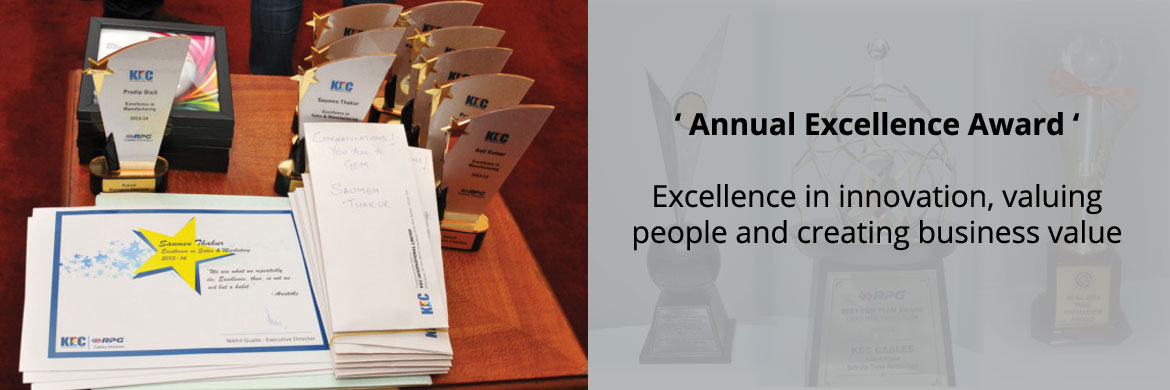 Annual Excellence Awards