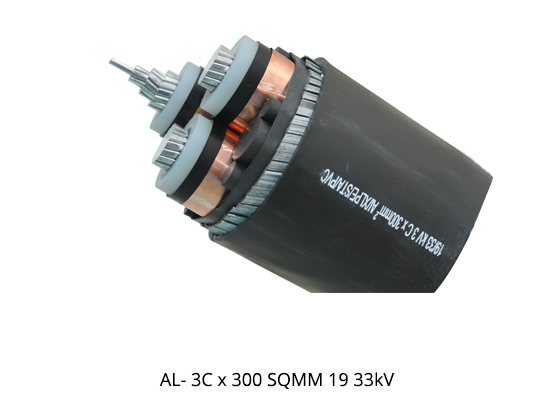 AL- 3C x 300 SQMM 19 33kV